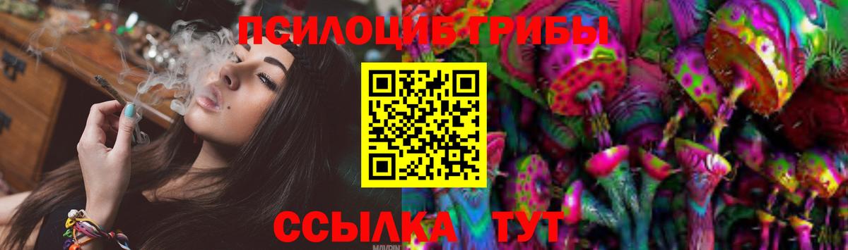 Галлюциногенные грибы прущие грибы Новокубанск